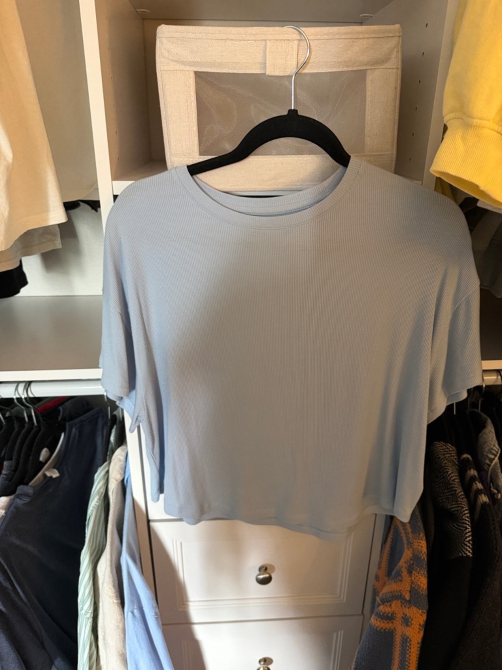 American Eagle Outfitters Light Blue Ribbed Crop Tee